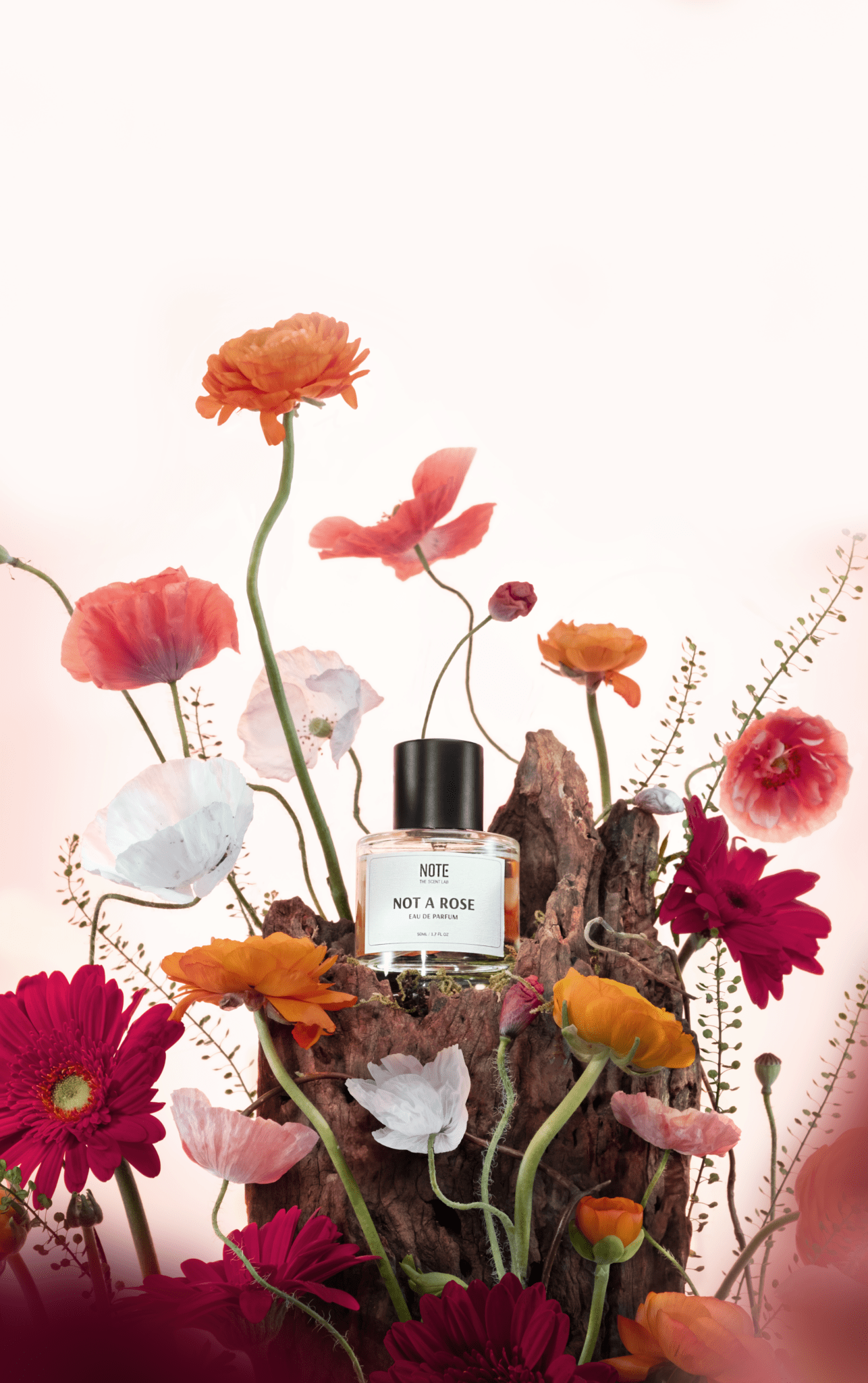 NOT A ROSE - sản phẩm mùi hương từ NOTE - The Scent Lab